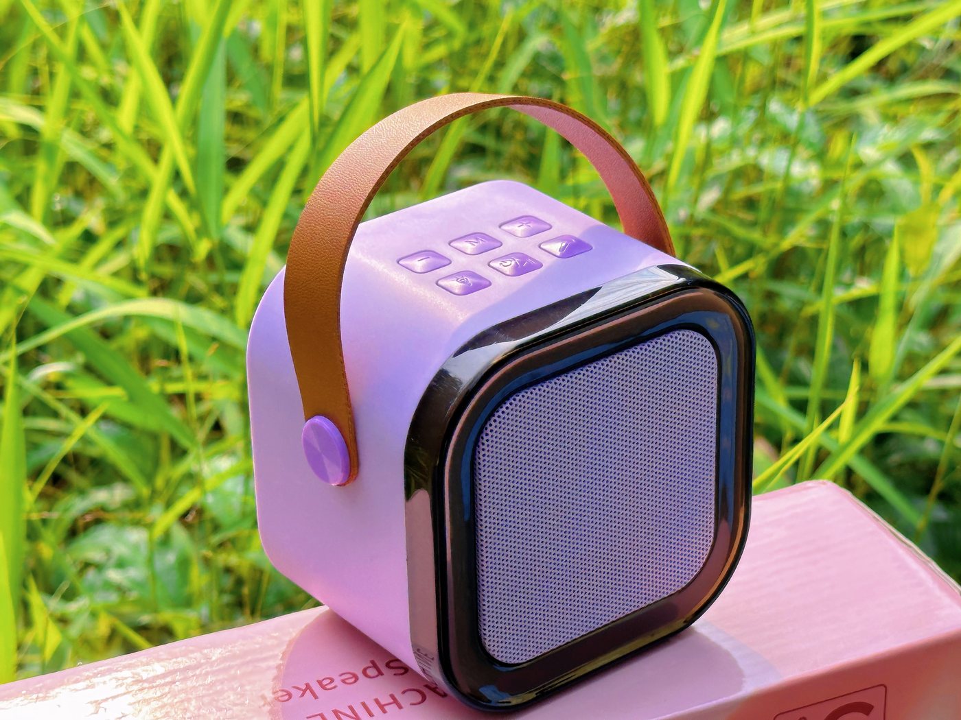 IROO mini karaoke speaker outdoors on the grass